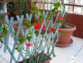 /album/o-nosso-trabalho/img-0225-jpg/